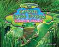 Green Tree Frogs: Colorful Hiders