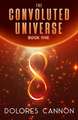 Convoluted Universe Book V