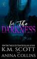 In the Darkness: A Project Artemis Novel