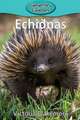 Echidnas