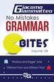 No Mistakes Grammar Bites, Volume VIII