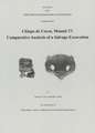 Chiapa de Corzo, Mound 17: Comparative Analysis of a Salvage Excavation, Number 80