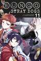 Bungo Stray Dogs, Vol. 11