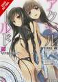 Accel World, Vol. 17 (light novel)