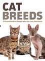 Cat Breeds