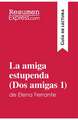 La amiga estupenda (Dos amigas 1) de Elena Ferrante (Guía de lectura)