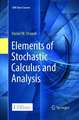 Elements of Stochastic Calculus and Analysis