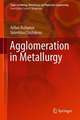 Agglomeration in Metallurgy