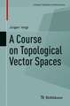 A Course on Topological Vector Spaces