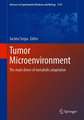 Tumor Microenvironment: The Main Driver of Metabolic Adaptation