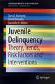 Juvenile Delinquency: Theory, Trends, Risk Factors and Interventions