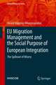 EU Migration Management and the Social Purpose of European Integration: The Spillover of Misery