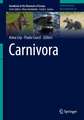 Carnivora