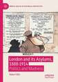 London and its Asylums, 1888-1914: Politics and Madness