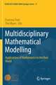 Multidisciplinary Mathematical Modelling: Applications of Mathematics to the Real World