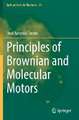 Principles of Brownian and Molecular Motors