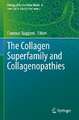 The Collagen Superfamily and Collagenopathies