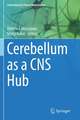 Cerebellum as a CNS Hub