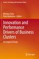 Innovation and Performance Drivers of Business Clusters: An Empirical Study