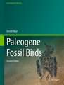 Paleogene Fossil Birds