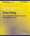 Tensor Voting: A Perceptual Organization Approach to Computer Vision and Machine Learning