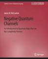 Negative Quantum Channels