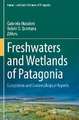 Freshwaters and Wetlands of Patagonia: Ecosystems and Socioecological Aspects