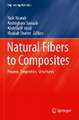 Natural Fibers to Composites: Process, Properties, Structures