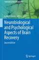 Neurobiological and Psychological Aspects of Brain Recovery