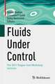 Fluids Under Control: The 2021 Prague-Sum Workshop Lectures