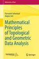 Mathematical Principles of Topological and Geometric Data Analysis