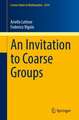 An Invitation to Coarse Groups