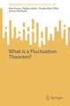 What is a Fluctuation Theorem?