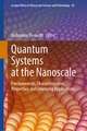 Quantum Systems at the Nanoscale