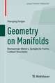 Geometry on Manifolds