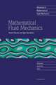 Mathematical Fluid Mechanics: Recent Results and Open Questions