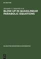 Blow-Up in Quasilinear Parabolic Equations