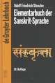 Elementarbuch der Sanskrit-Sprache: Grammatik, Texte, Wörterbuch