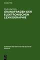 Grundfragen der elektronischen Lexikographie: elexiko - Das Online-Informationssystem zum deutschen Wortschatz