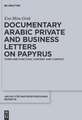 Documentary Arabic Private and Business Letters on Papyrus: Form and Function, Content and Context