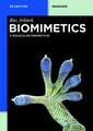 Biomimetics: A Molecular Perspective