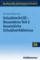 Schuldrecht III - Besonderer Teil 2: Gesetzliche Schuldverhaltnisse