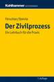 Der Zivilprozess