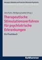 Therapeutische Stimulationsverfahren Fur Psychiatrische Erkrankungen: Ein Praxisbuch