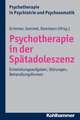 Psychotherapie in Der Spatadoleszenz: Entwicklungsaufgaben, Storungen, Behandlungsformen