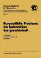 Ausgewählte Probleme der industriellen Energiewirtschaft