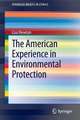 The American Experience in Environmental Protection