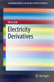 Electricity Derivatives