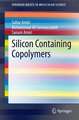 Silicon Containing Copolymers