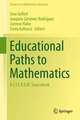 Educational Paths to Mathematics: A C.I.E.A.E.M. Sourcebook